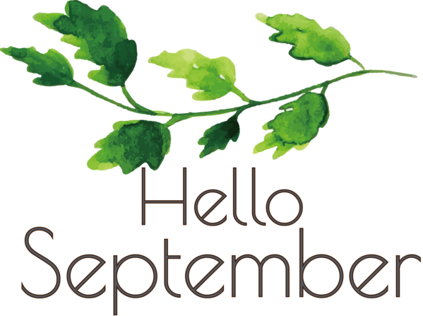 Transparent thanksgiving Leaf vegetable Leaf Herbal medicine for Hello September for Thanksgiving