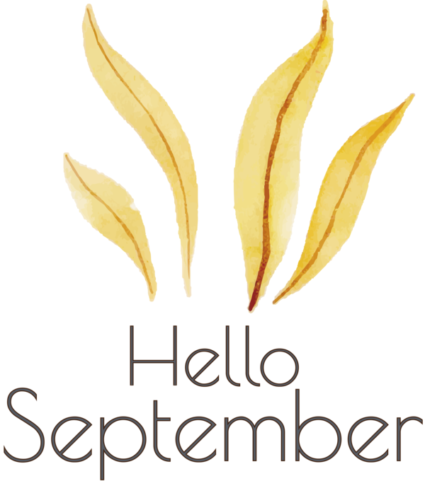 Transparent thanksgiving Leaf Commodity Font for Hello September for Thanksgiving