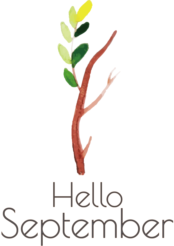 Transparent thanksgiving Plant stem Logo Line for Hello September for Thanksgiving