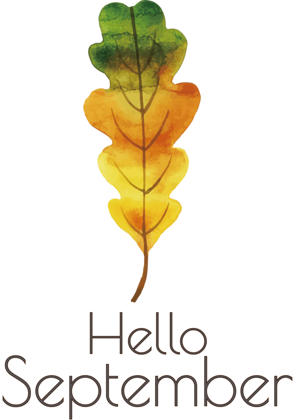 Transparent thanksgiving Leaf Plant stem Font for Hello September for Thanksgiving