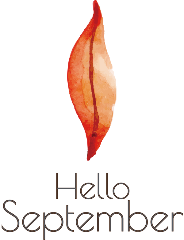 Transparent thanksgiving Leaf Petal Font for Hello September for Thanksgiving