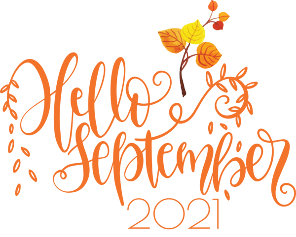 Transparent September Floral design Cut flowers Petal for Hello September for September