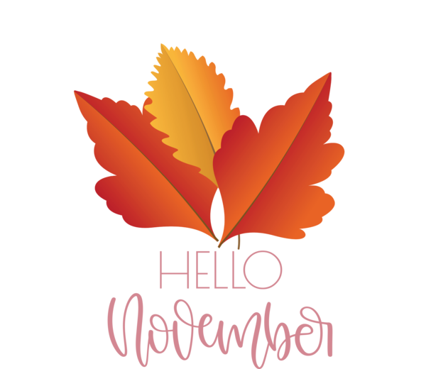 Transparent Thanksgiving Leaf Logo Maple for Hello November for Thanksgiving