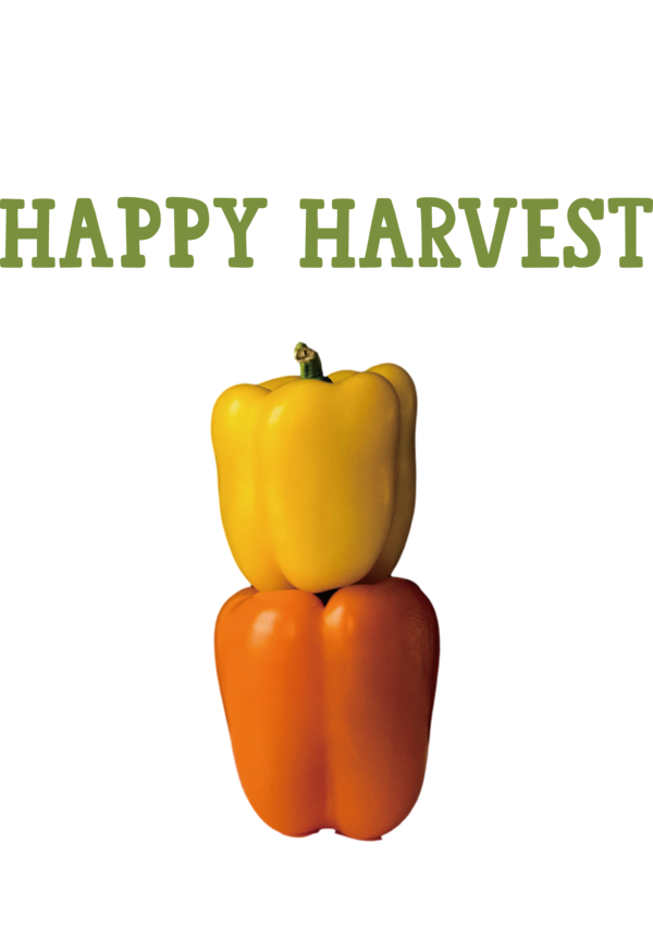 Transparent thanksgiving Natural food Chili pepper Bell Pepper for Harvest for Thanksgiving