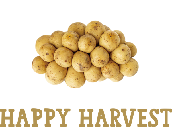 Transparent thanksgiving Apple Potato Potato salad for Harvest for Thanksgiving