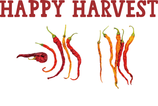 Transparent thanksgiving Cdr Drawing Logo for Harvest for Thanksgiving