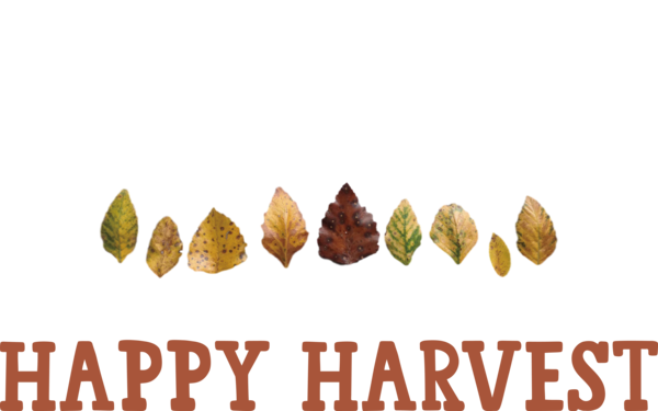 Transparent thanksgiving Leaf Font Meter for Harvest for Thanksgiving