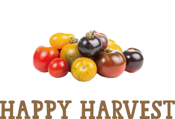 Transparent thanksgiving Cherry Tomatoes Vegetable French fries for Harvest for Thanksgiving