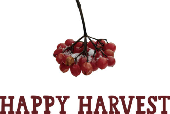 Transparent thanksgiving Icon Drawing Logo for Harvest for Thanksgiving