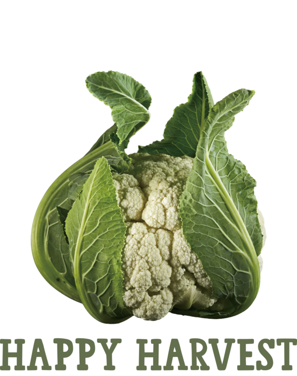 Transparent thanksgiving Vegetarian cuisine Cauliflower Salad for Harvest for Thanksgiving