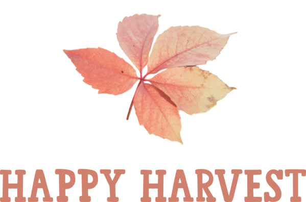 Transparent thanksgiving Leaf Petal Meter for Harvest for Thanksgiving