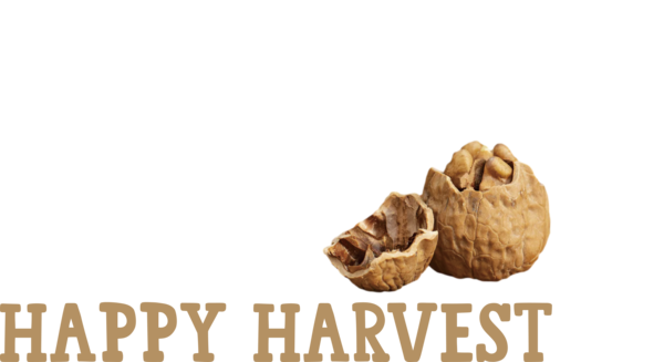 Transparent thanksgiving Walnut Vegetarian cuisine Fruit for Harvest for Thanksgiving