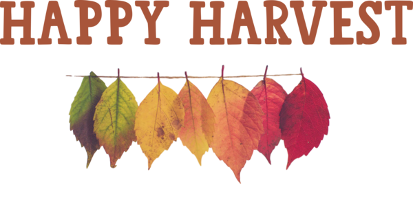 Transparent thanksgiving Design Idea Color scheme for Harvest for Thanksgiving