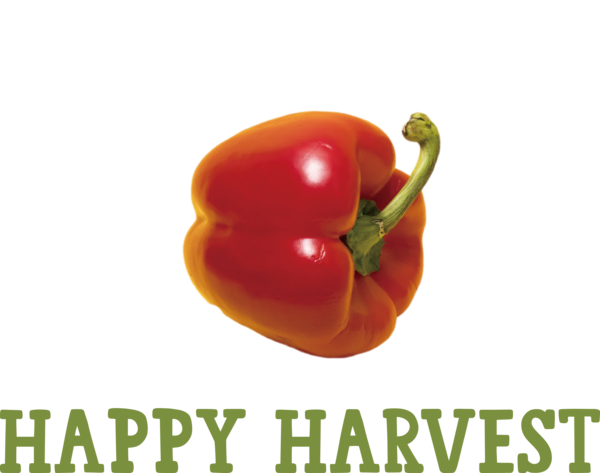 Transparent thanksgiving Cayenne pepper Habanero Chili pepper for Harvest for Thanksgiving