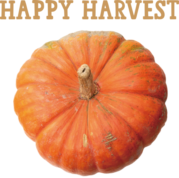 Transparent thanksgiving Squash Winter squash Gourd for Harvest for Thanksgiving