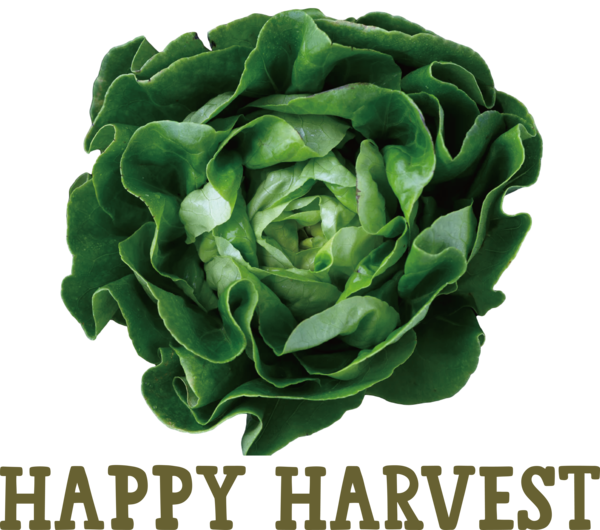 Transparent thanksgiving Local food Salad Vegetable for Harvest for Thanksgiving