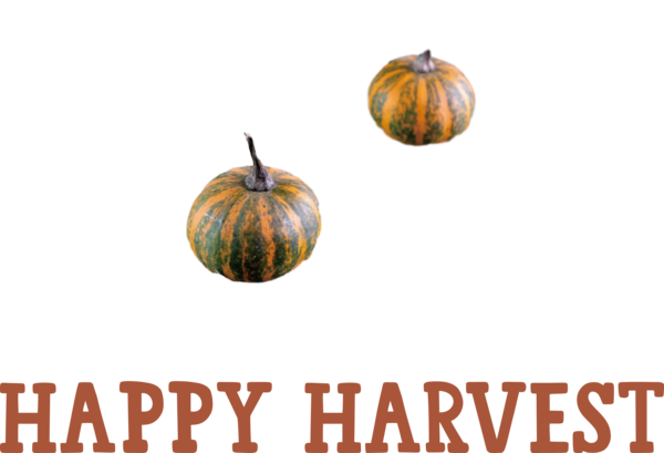 Transparent thanksgiving Winter squash Squash Gourd for Harvest for Thanksgiving