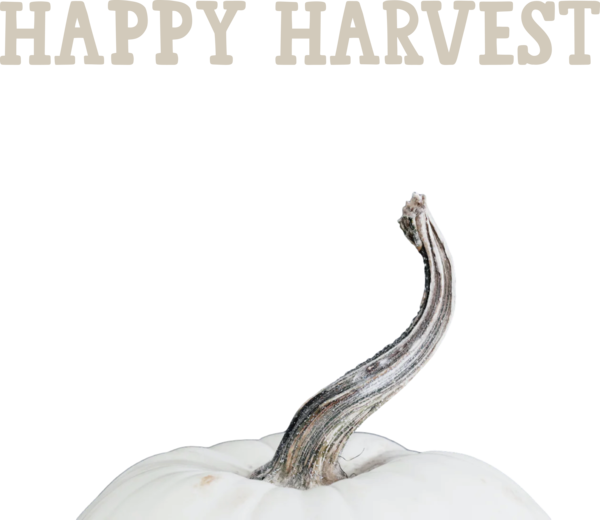 Transparent thanksgiving Font Design Meter for Harvest for Thanksgiving