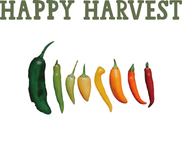Transparent thanksgiving Cayenne pepper Habanero Jalapeño for Harvest for Thanksgiving