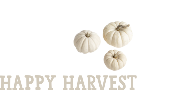 Transparent thanksgiving Design Meter Material for Harvest for Thanksgiving