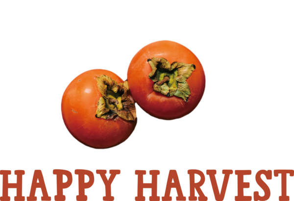 Transparent thanksgiving Tomato Natural food Koc University for Harvest for Thanksgiving