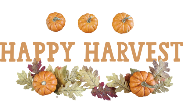 Transparent thanksgiving Drawing  Design for Harvest for Thanksgiving