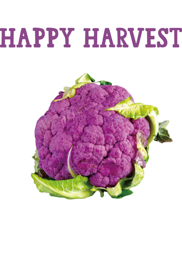 Transparent thanksgiving Vegetarian cuisine Broccoli Cauliflower for Harvest for Thanksgiving