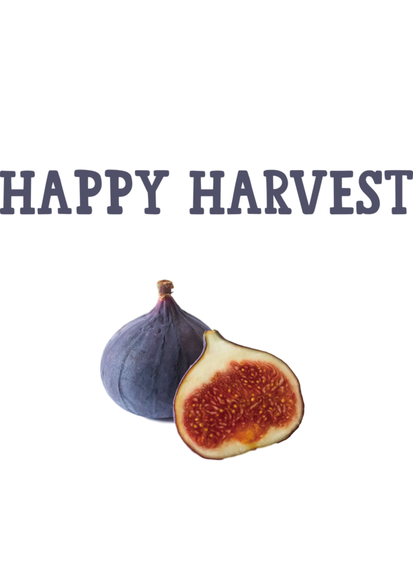 Transparent thanksgiving Superfood Font Produce for Harvest for Thanksgiving