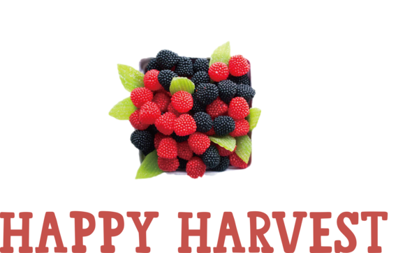 Transparent thanksgiving Raspberry Blackberries Red raspberry for Harvest for Thanksgiving