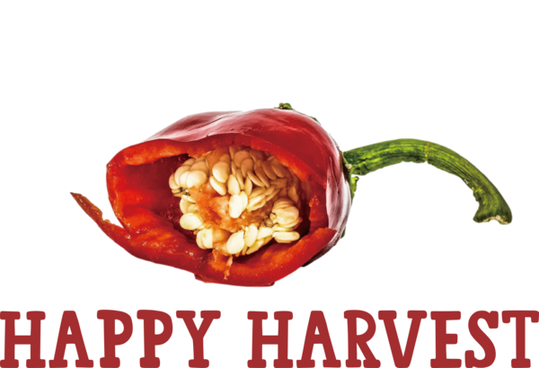 Transparent thanksgiving Vegetarian cuisine Chili pepper Bell Pepper for Harvest for Thanksgiving
