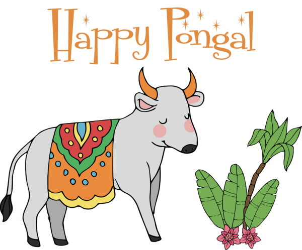 Transparent Pongal Goat Holstein Friesian cattle Murrah buffalo for Thai Pongal for Pongal