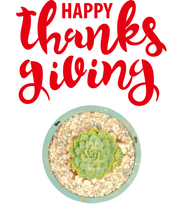 Transparent Thanksgiving Breakfast cereal Vegetarian cuisine Breakfast for Happy Thanksgiving for Thanksgiving