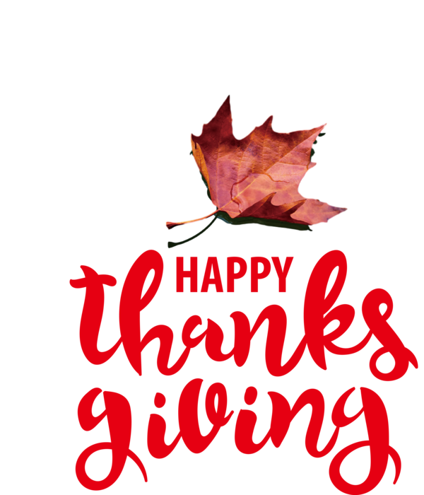 Transparent Thanksgiving Leaf Tree Meter for Happy Thanksgiving for Thanksgiving