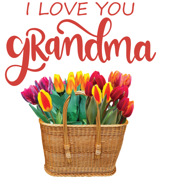 Transparent National Grandparents Day Floral design Gift basket Cut flowers for Grandmothers Day for National Grandparents Day