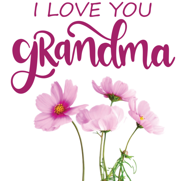 Transparent National Grandparents Day Floral design Annual plant Herbaceous plant for Grandmothers Day for National Grandparents Day