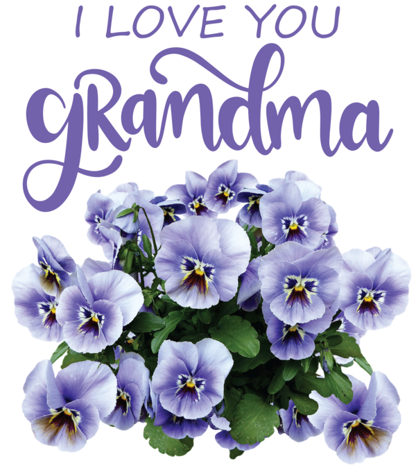 Transparent National Grandparents Day Transparency Flower Drawing for Grandmothers Day for National Grandparents Day