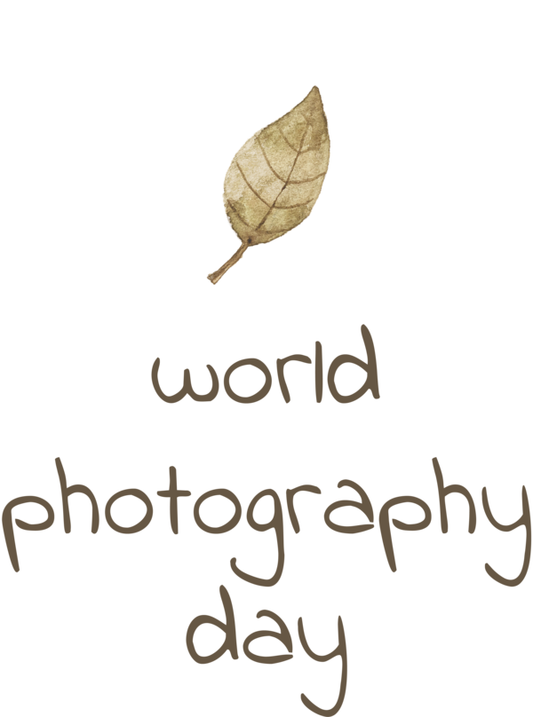 Transparent World Photography Day Logo Font Leaf for Photography Day for World Photography Day