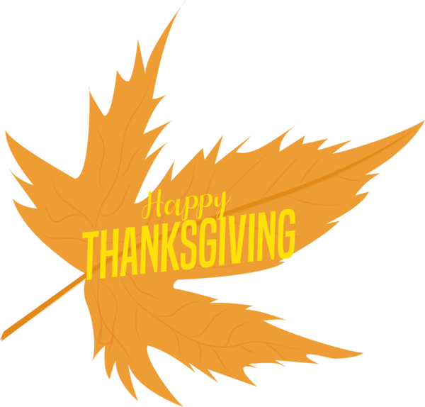Transparent Thanksgiving Maple Maple leaf Drawing for Happy Thanksgiving for Thanksgiving