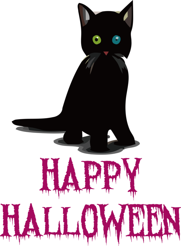 Transparent Halloween Cat Kitten Whiskers for Happy Halloween for Halloween