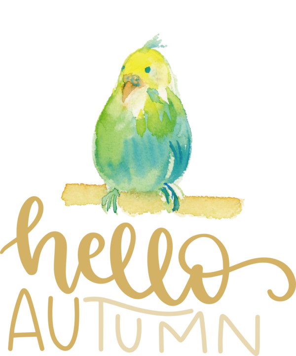 Transparent thanksgiving Birds Beak Parakeet for Hello Autumn for Thanksgiving