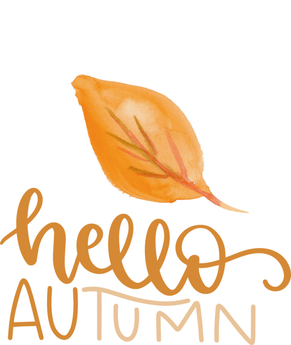 Transparent thanksgiving Leaf Petal Meter for Hello Autumn for Thanksgiving