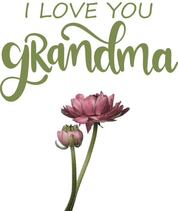 Transparent National Grandparents Day Floral design Plant stem Cut flowers for Grandmothers Day for National Grandparents Day