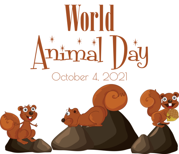 Transparent World Animal Day Squirrels Royalty-free Rock squirrel for Animal Day for World Animal Day