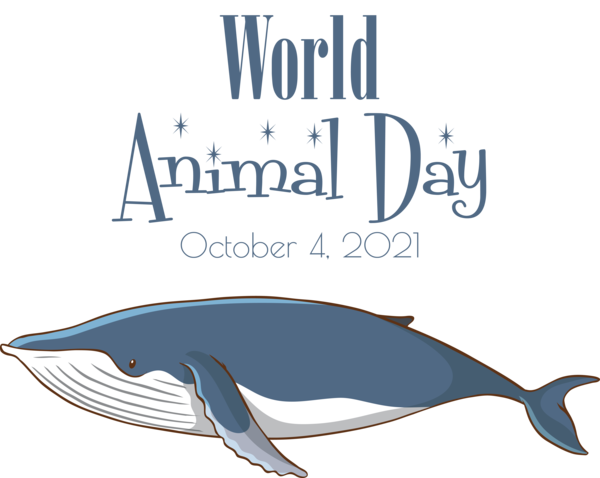 Transparent World Animal Day Dolphin Cetaceans Porpoises for Animal Day for World Animal Day