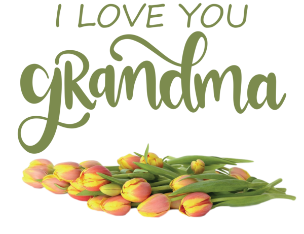 Transparent National Grandparents Day Natural food Local food Superfood for Grandmothers Day for National Grandparents Day
