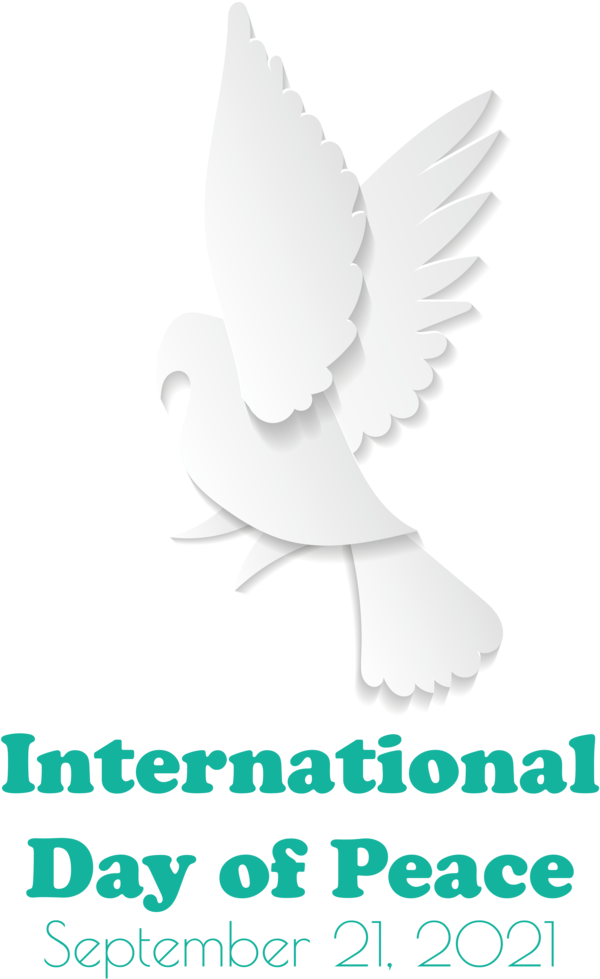 Transparent International Day of Peace Beak Bird of prey Logo for World Peace Day for International Day Of Peace