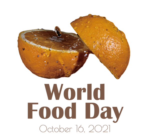 Transparent World Food Day Vegetarian cuisine Restaurant Flavor for Food Day for World Food Day