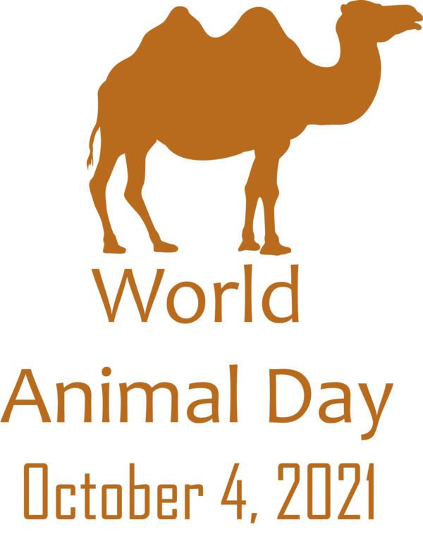 Transparent World Animal Day Dromedary Horse Snout for Animal Day for World Animal Day