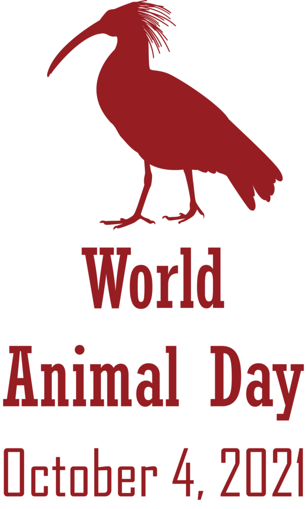 Transparent World Animal Day Birds Rosalie Hale Emmett Cullen for Animal Day for World Animal Day
