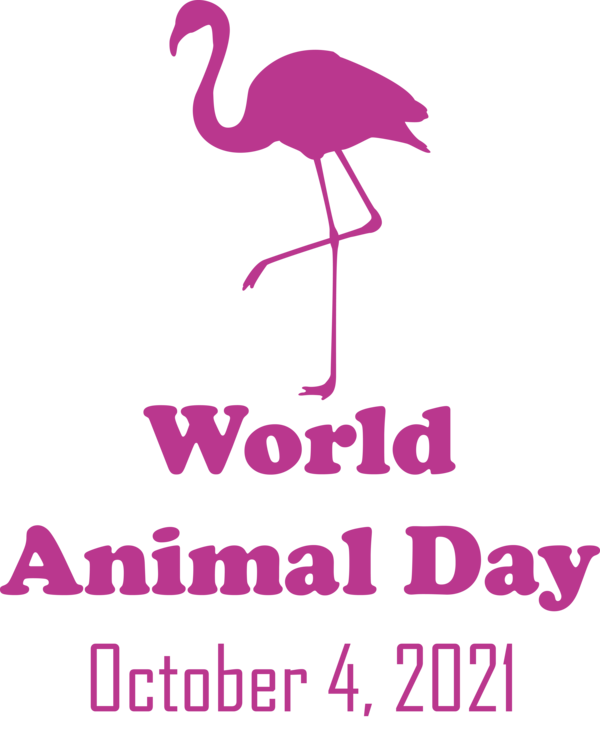 Transparent World Animal Day Birds Beak World for Animal Day for World Animal Day